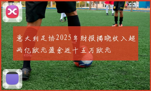 意大利足协2025年财报揭晓收入超两亿欧元盈余近十五万欧元