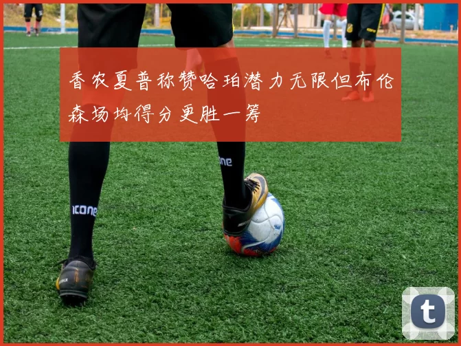 香农夏普称赞哈珀潜力无限但布伦森场均得分更胜一筹